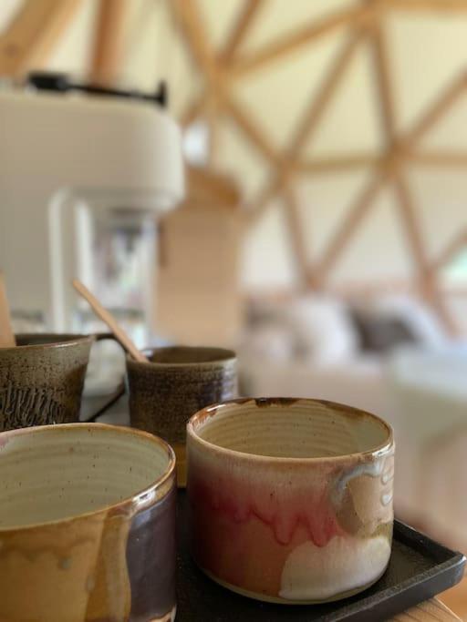 Dome Insolite Lichen Jacuzzi Et Petits-Dejeuners Inclus Gondrin Extérieur photo