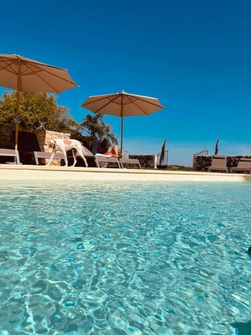 Dome Insolite Lichen Jacuzzi Et Petits-Dejeuners Inclus Gondrin Extérieur photo
